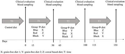 Clinical Findings in Healthy Dogs Fed With Diets Characterized by Different Carbohydrates Sources